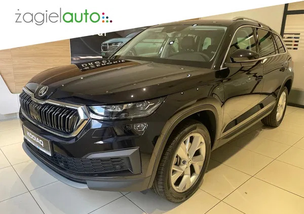 skoda kodiaq wielichowo Skoda Kodiaq cena 213650 przebieg: 1, rok produkcji 2024 z Wielichowo